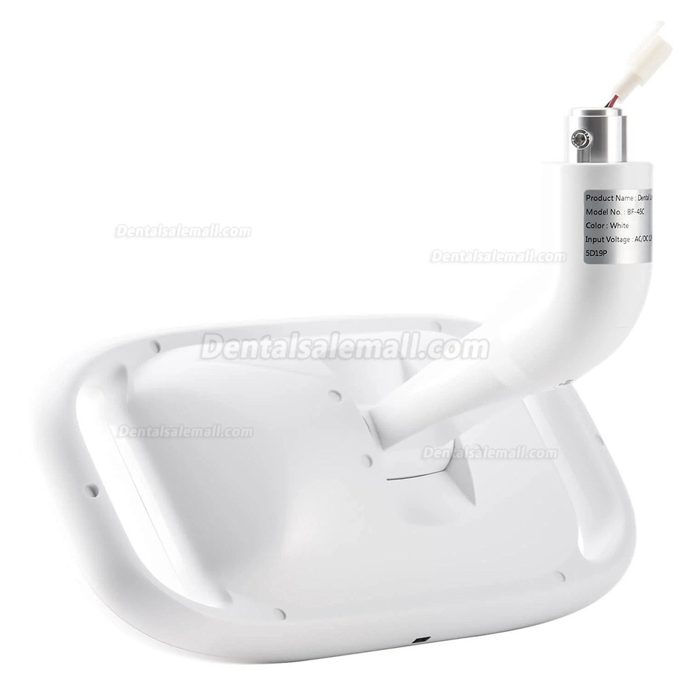 Dental Chair Light Infrared Inductive Oral Lamp 8 LEDs 10W 2 Color Adjustable